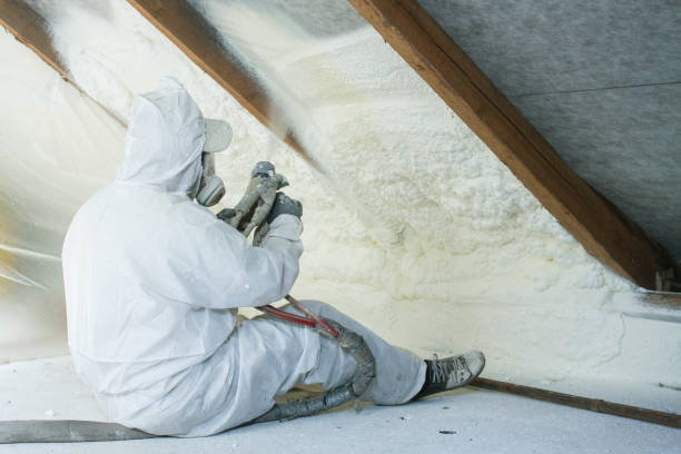 Trusted Grant, MI Insulation Removal & Installation Experts